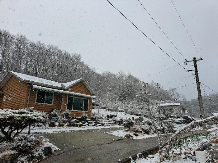 충청북도 제천시 흑석동 275-37 임야 경매 사진 3