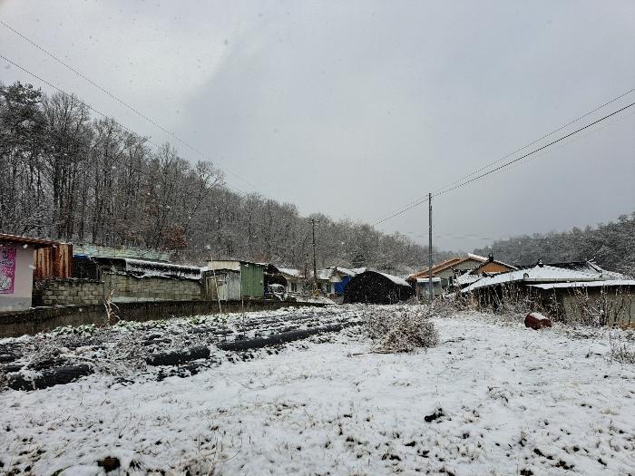 충청북도 제천시 흑석동 275-37 임야 경매 사진 5