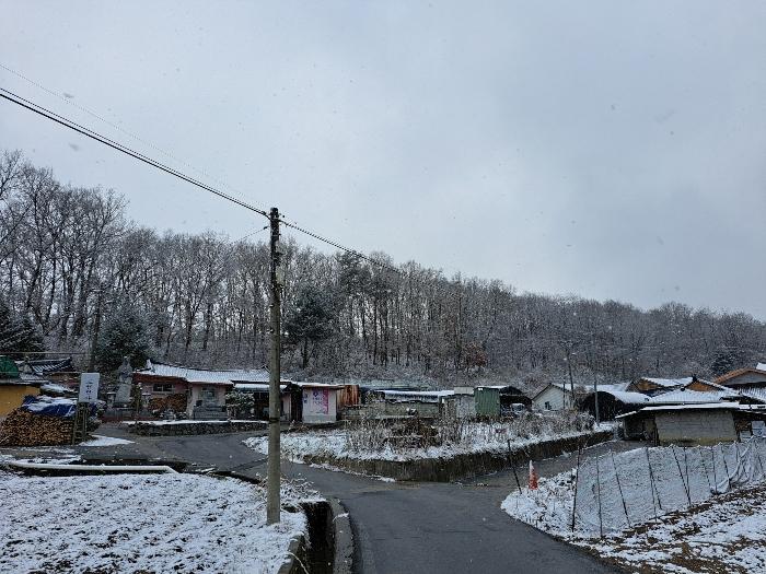 충청북도 제천시 흑석동 275-37 임야 경매 사진 6