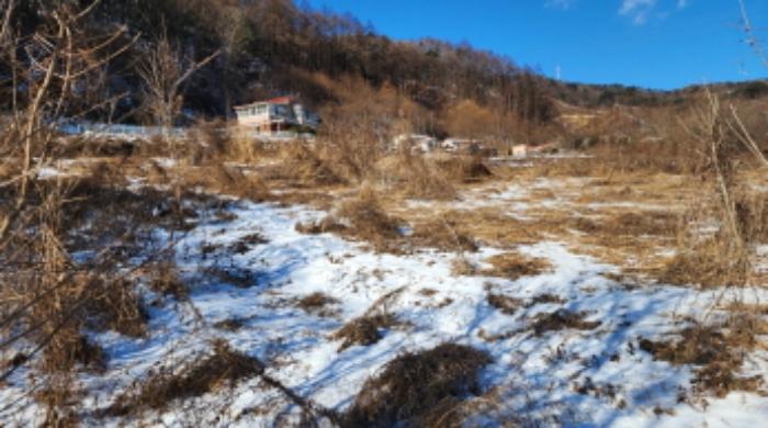 충청북도 제천시 봉양읍 연박리 1339-2 전 경매 사진 3