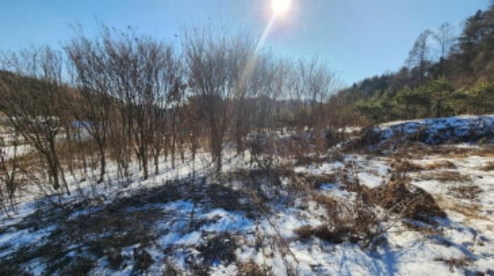 충청북도 제천시 봉양읍 연박리 1339-2 전 경매 사진 5