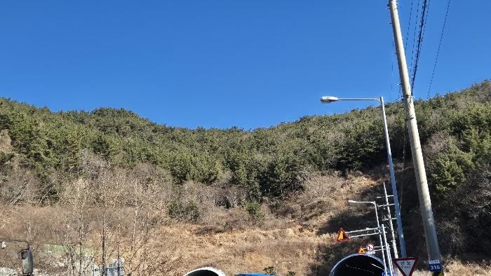 경상남도 거제시 덕포동 산61 임야 경매 사진 2