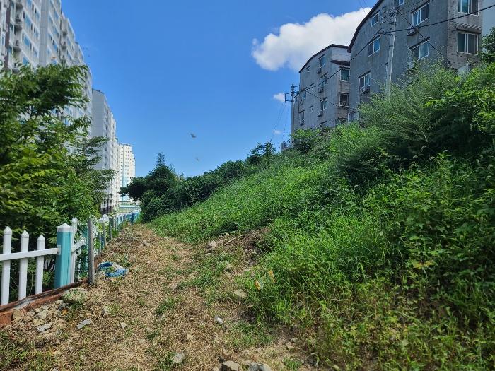 경상남도 거제시 아주동 1256-5 임야 경매 사진 3