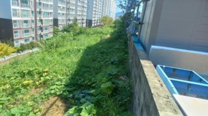 경상남도 거제시 아주동 1256-5 임야 경매 사진 5