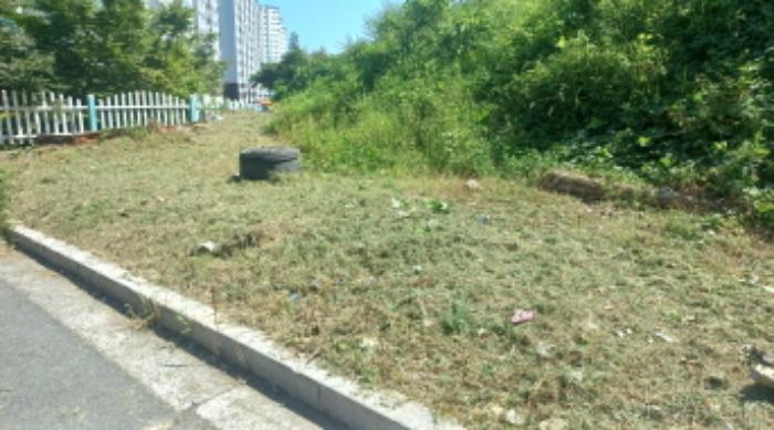 경상남도 거제시 아주동 1256-5 임야 경매 사진 7