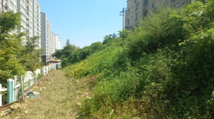 경상남도 거제시 아주동 1256-5 임야 경매 사진 8
