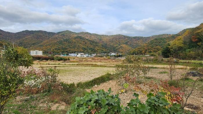 경상남도 거제시 연초면 오비리 820-2 답 경매 사진 1