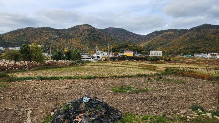 경상남도 거제시 연초면 오비리 822 답 경매 사진 2