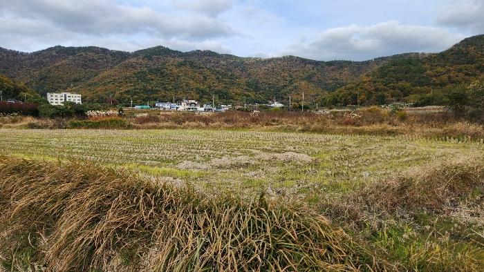 경상남도 거제시 연초면 오비리 822 답 경매 사진 3
