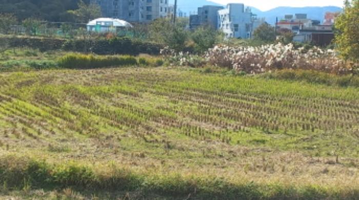 경상남도 거제시 연초면 오비리 822 답 경매 사진 8