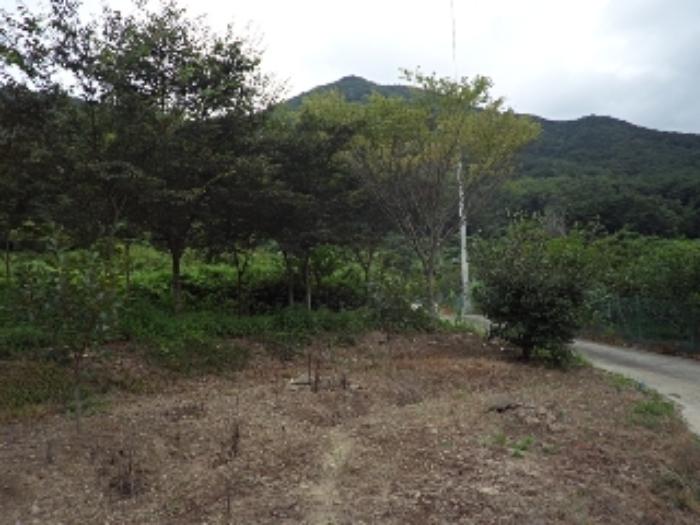 경상남도 밀양시 무안면 화봉리 788 전 경매 사진 7