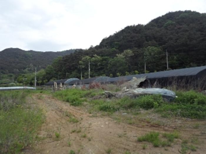 경상남도 밀양시 상동면 금산리 171-10 과수원 경매 사진 18