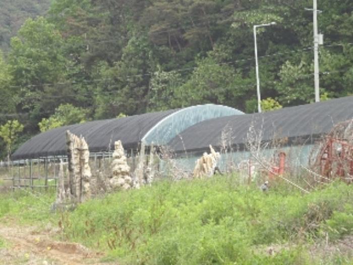 경상남도 밀양시 상동면 금산리 171-10 과수원 경매 사진 19