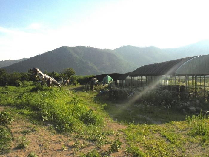 경상남도 밀양시 상동면 금산리 171-10 과수원 경매 사진 2