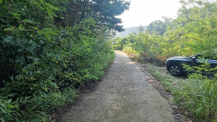 경상북도 포항시 북구 흥해읍 초곡리 산69-1 임야 경매 사진 5