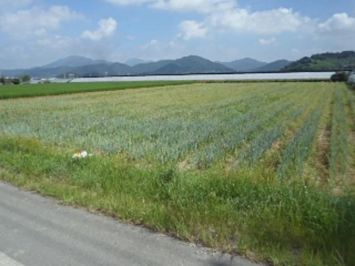 경상남도 밀양시 상남면 동산리 1005 전 경매 사진 10