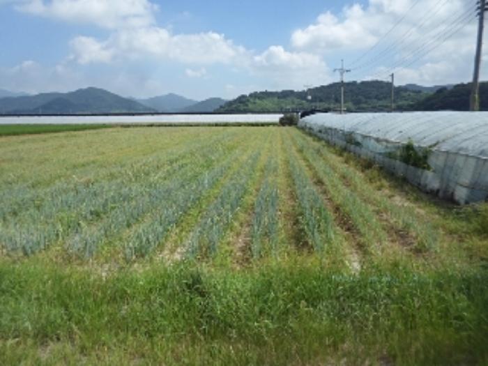 경상남도 밀양시 상남면 동산리 1005 전 경매 사진 11
