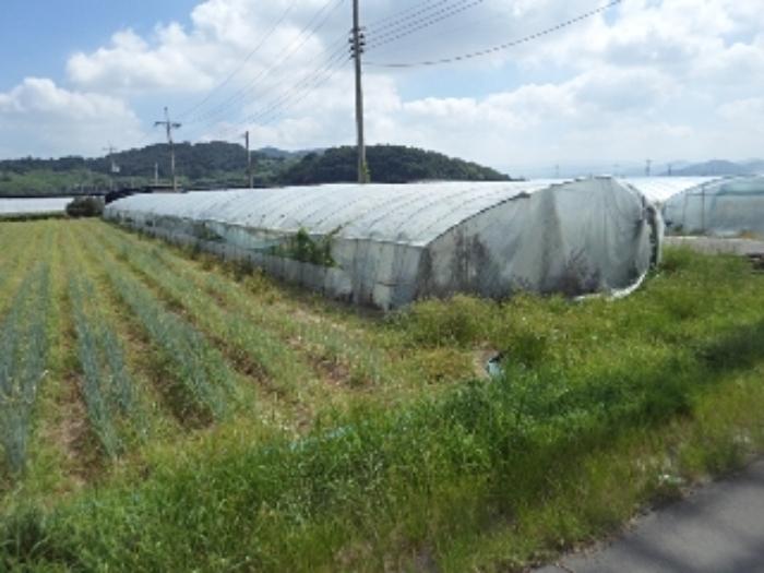 경상남도 밀양시 상남면 동산리 1005 전 경매 사진 12