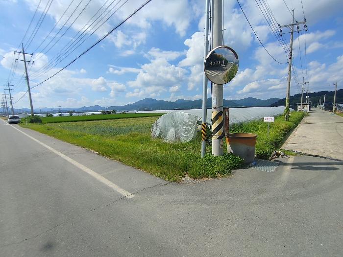 경상남도 밀양시 상남면 동산리 1005 전 경매 사진 2