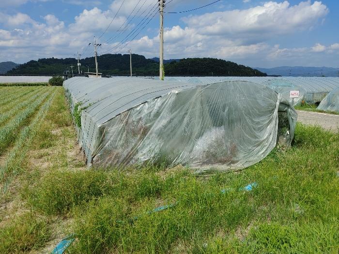 경상남도 밀양시 상남면 동산리 1005 전 경매 사진 3