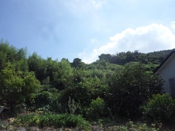 경상남도 밀양시 상남면 동산리 1005 전 경매 사진 7