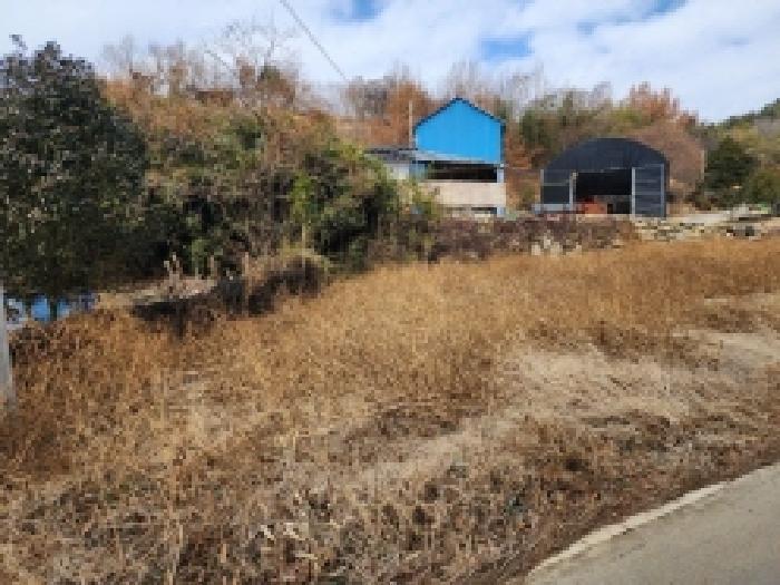 전라남도 고흥군 두원면 운대리 산312-1 임야 경매 사진 3