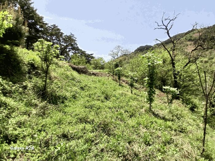 전라남도 구례군 산동면 원달리 363 전 경매 사진 1