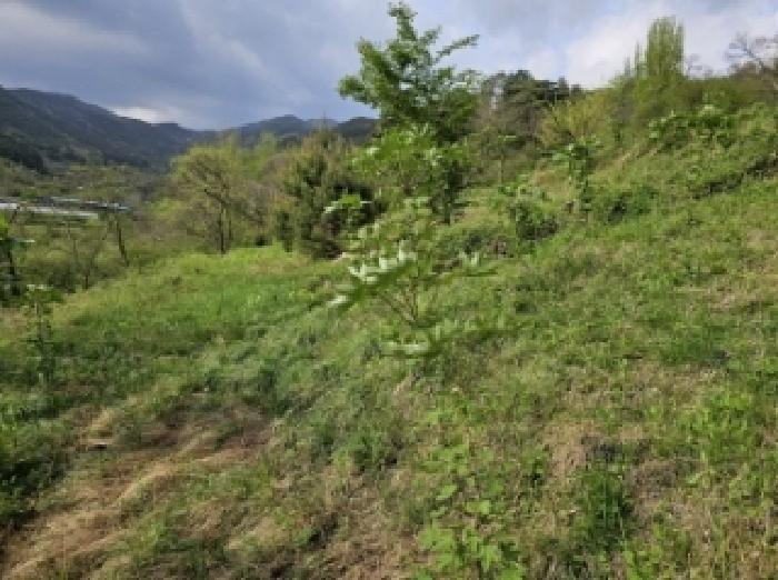 전라남도 구례군 산동면 원달리 363 전 경매 사진 10