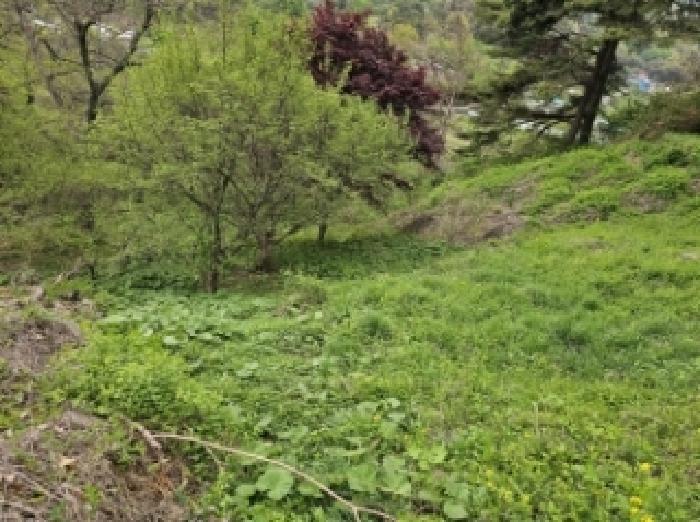전라남도 구례군 산동면 원달리 363 전 경매 사진 17