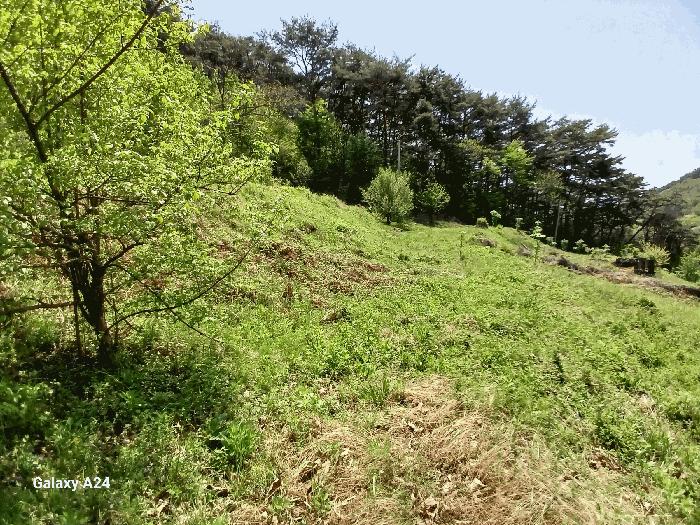 전라남도 구례군 산동면 원달리 363 전 경매 사진 5