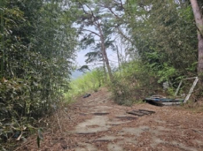 전라남도 구례군 산동면 원달리 363 전 경매 사진 7