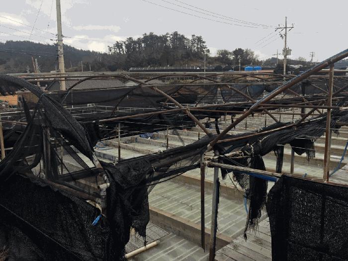 전라남도 완도군 노화읍 등산리 1247 양어장 경매 사진 11