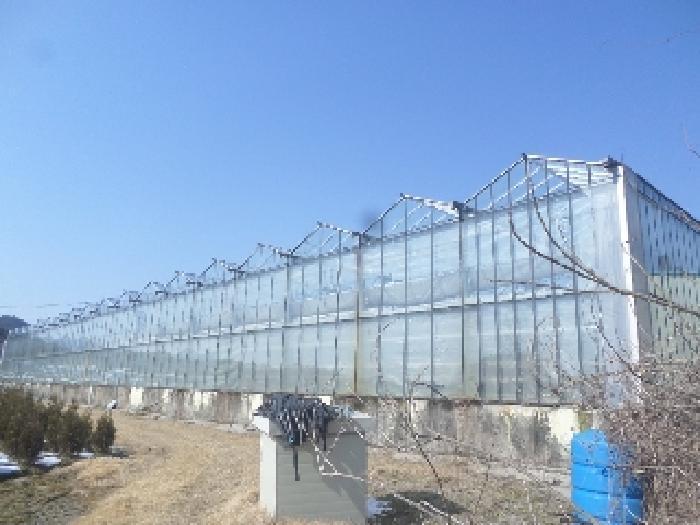 전북특별자치도 임실군 지사면 계산리 255-5 2호 창고 경매 사진 3