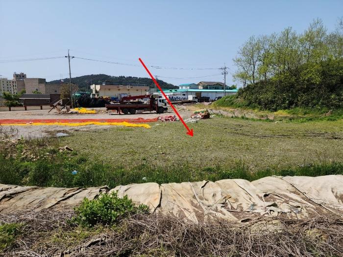 충청남도 태안군 근흥면 신진도리 70 전 경매 사진 3