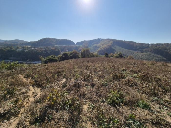 경기도 안성시 보개면 신안리 산46 전 경매 사진 20