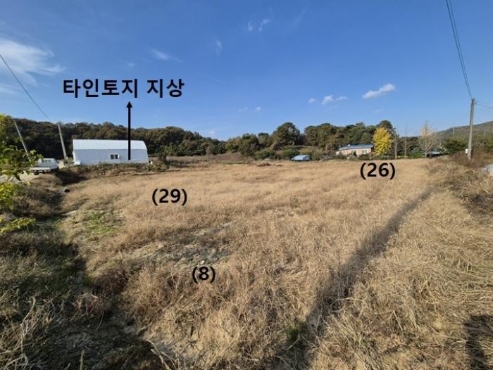 경기도 안성시 보개면 신안리 산46 전 경매 사진 8