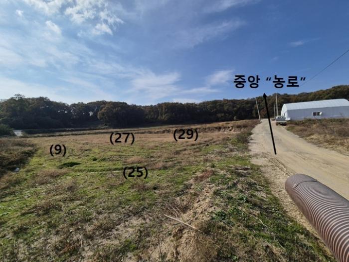 경기도 안성시 보개면 신안리 493 답 경매 사진 1