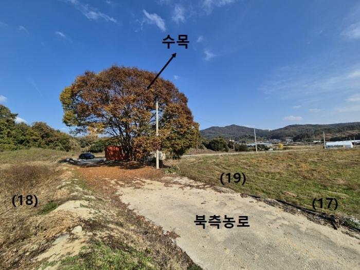 경기도 안성시 보개면 신안리 493 답 경매 사진 13
