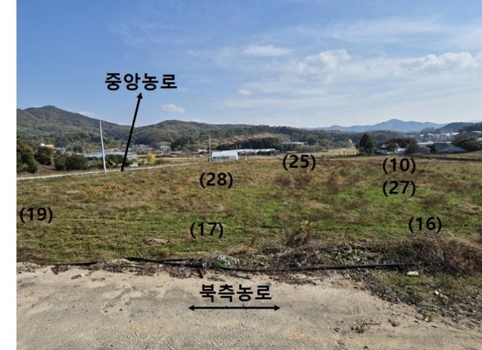 경기도 안성시 보개면 신안리 516 답 경매 사진 14