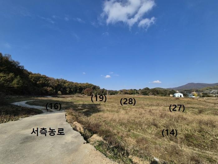 경기도 안성시 보개면 신안리 516 답 경매 사진 17