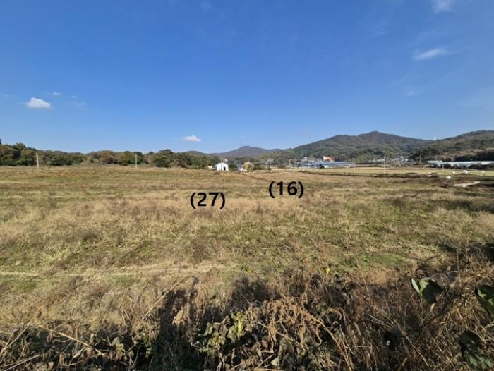 경기도 안성시 보개면 신안리 516 답 경매 사진 18