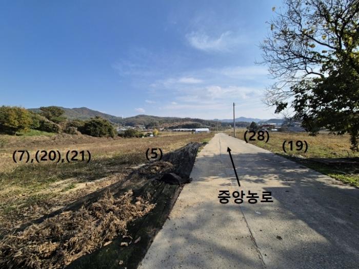 경기도 안성시 보개면 신안리 516 답 경매 사진 2