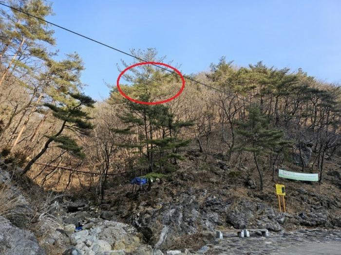 강원특별자치도 평창군 미탄면 마하리 128 전 경매 사진 1