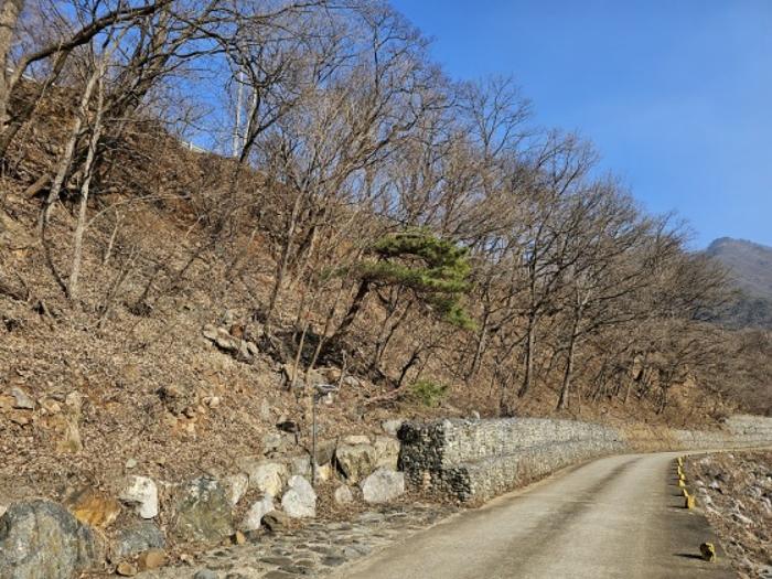 강원특별자치도 평창군 미탄면 마하리 156 전 경매 사진 16