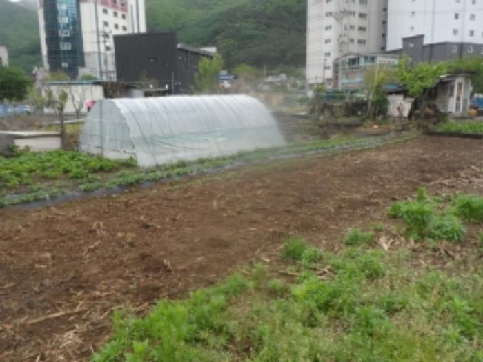 강원특별자치도 정선군 남면 무릉리 469-1 전 경매 사진 10