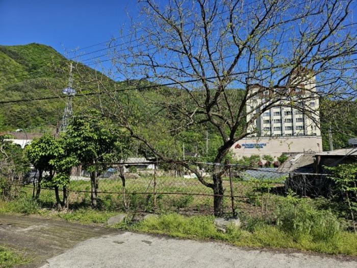 강원특별자치도 정선군 남면 무릉리 469-1 전 경매 사진 3