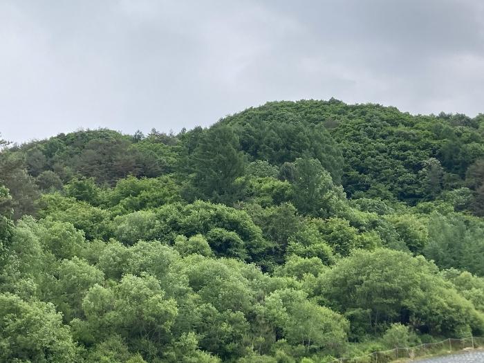 강원특별자치도 평창군 봉평면 유포리 63-34 전 경매 사진 1