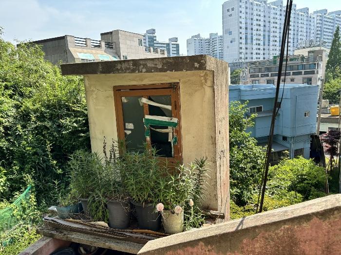 울산광역시 동구 동부동 366-3 1동 2층3호 다세대(빌라) 경매 사진 3
