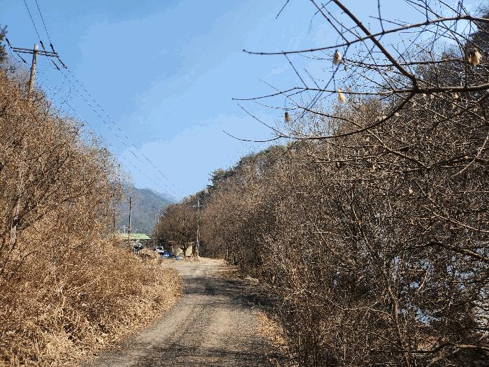 경기도 포천시 이동면 도평리 374-6 창고 경매 사진 7
