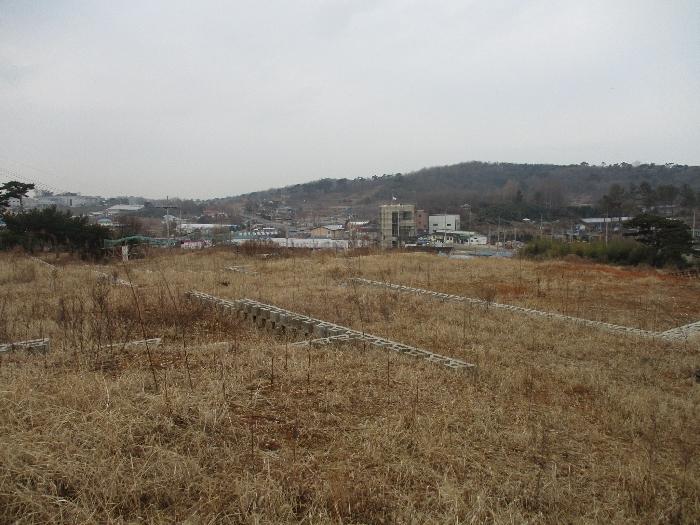 경기도 화성시 서신면 궁평리 160-12 전 경매 사진 10